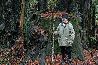 12022003_86 12022003_86