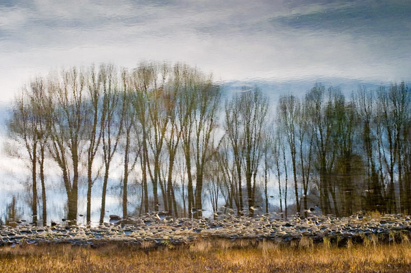 2004-10-13-Landing-020