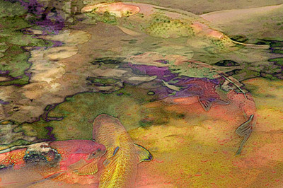 20041017_hakone_gardens_013c