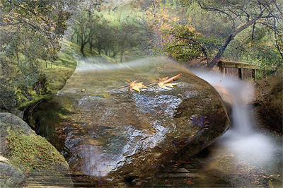 20041211_sunol_mg_4558c_1