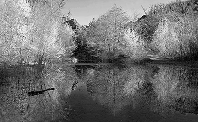 20041218_sunol_mg_4607pbw