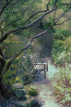 20041230_tilden_botanical_mg_4727c_1