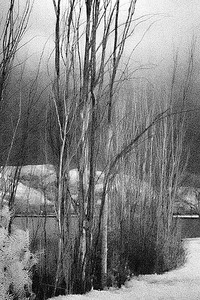 20050108_sunol_crw_1213 20050108_sunol_crw_1213