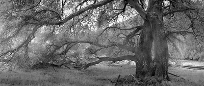 20050108_sunol_crw_1230p 20050108_sunol_crw_1230p