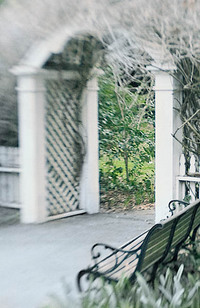 20050115_ardenwood_mg_5053