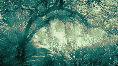 20050116_sunolcrw_1338pc_1 20050116_sunolcrw_1338pc_1