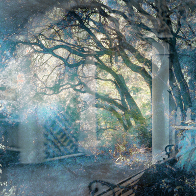 20050123_redwoodscrw_1467pc_1