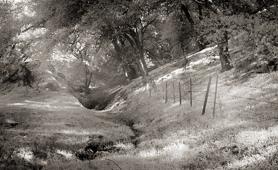 20050128_sunolcrw_1489p 20050128_sunolcrw_1489p