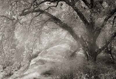 20050128_sunolcrw_1512p 20050128_sunolcrw_1512p