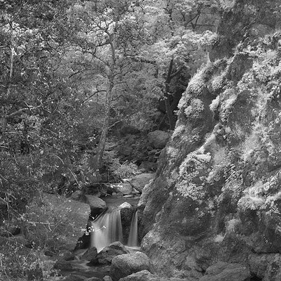 20050403_sunolcrw_2507p