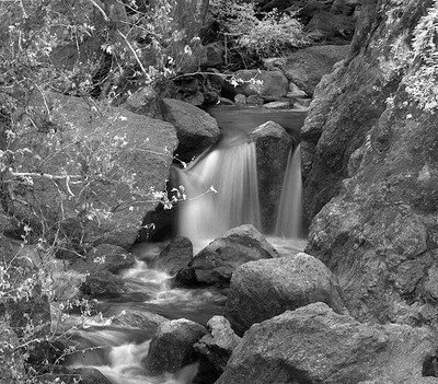 20050403_sunolcrw_2516p_2