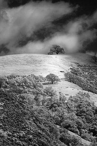 20050409_sunolcrw_2571