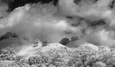 20050409_sunolcrw_2575p