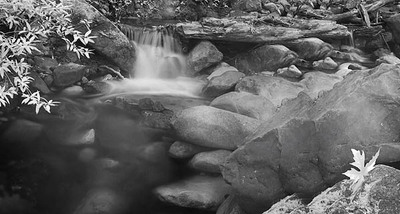 20050507_uvas_canyoncrw_3034p