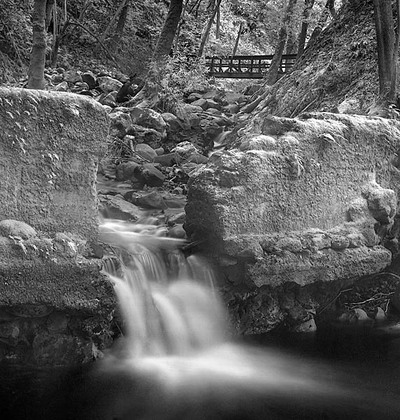 20050515_uvas_canyoncrw_3232pc