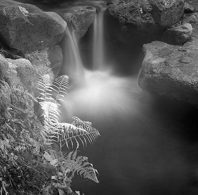 20050515_uvas_canyoncrw_3268p