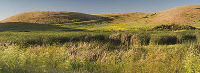 20050524_coyote_hills_mg_3177p