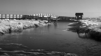 20050525_don_edwardscrw_3282p