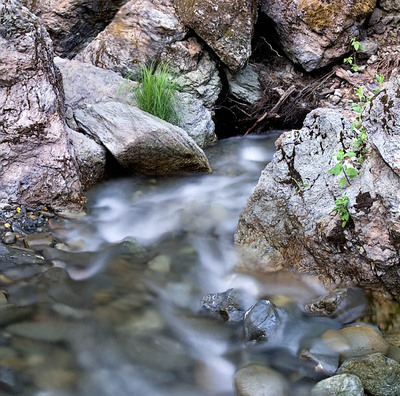 20050603_sunol_mg_3551p