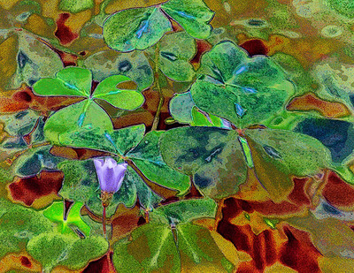 20050605_butano_mg_3639c 20050605_butano_mg_3639c