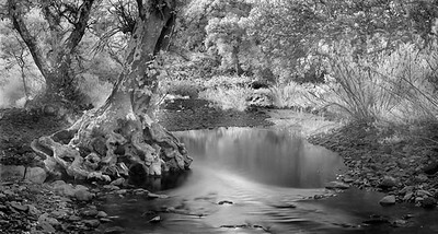 20050606_little_yosemitecrw_3640p