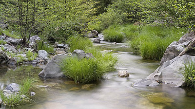 20050608_sunol_mg_3716p