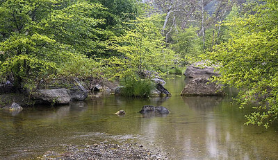 20050608_sunol_mg_3740p