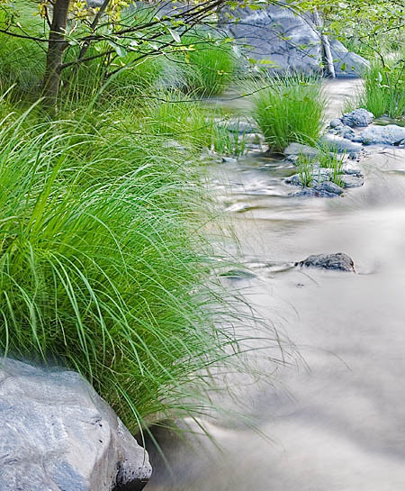 20050609_sunol_mg_3778p2