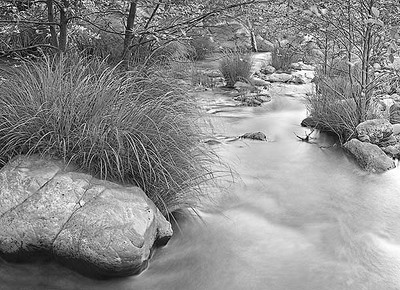 20050609_sunol_mg_3778pbw_1