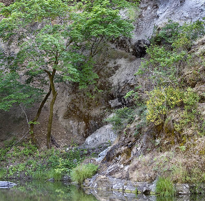 20050611_sunol_mg_3829p
