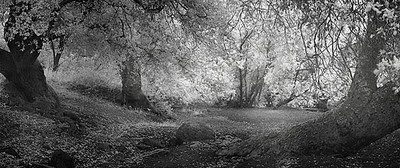 20050612_sunolcrw_3659p