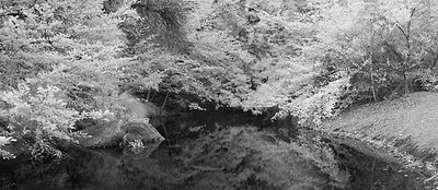 20050614_sunolcrw_3696p