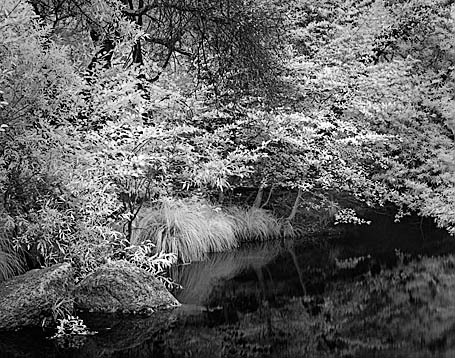 20050614_sunolcrw_3702p