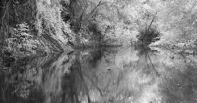 20050618_sunolcrw_3714p_1