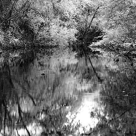 20050618_sunolcrw_3717p