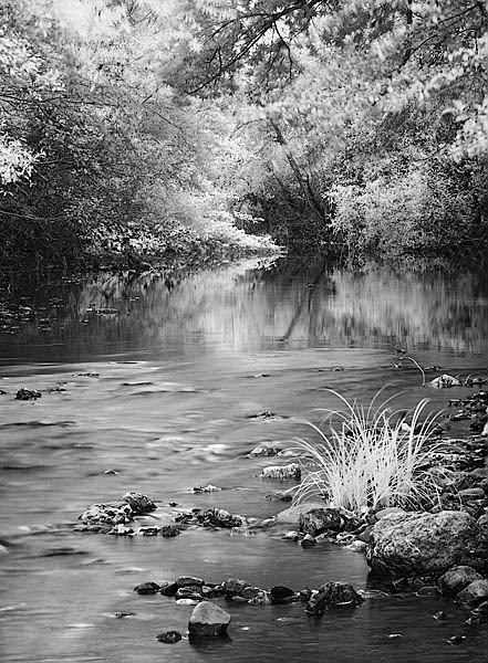 20050618_sunolcrw_3735