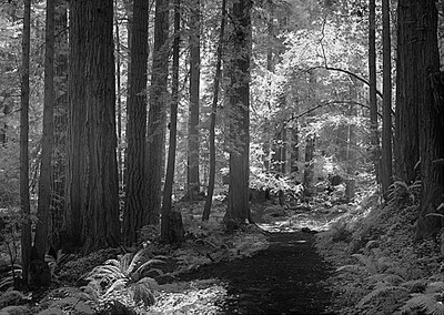 20050619_hwy_1crw_3840p