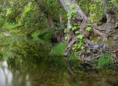 20050703_sunol_mg_4232p