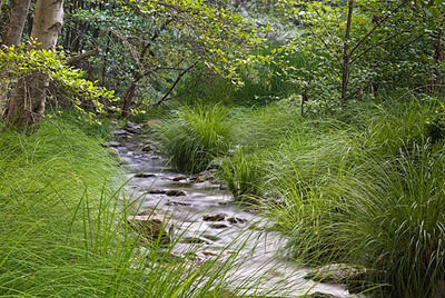 20050705_sunol_mg_4272p