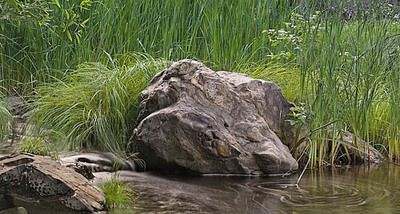 20050705_sunol_mg_4297p_2