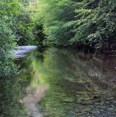 20050705_sunol_mg_4314p