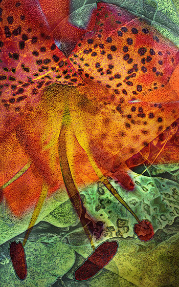 20050709_sunol_mg_4347c_1