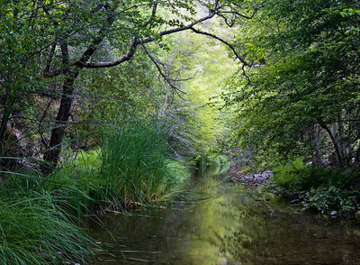 20050709_sunol_mg_4378p