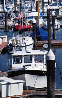 20050724_photosfimg_0435