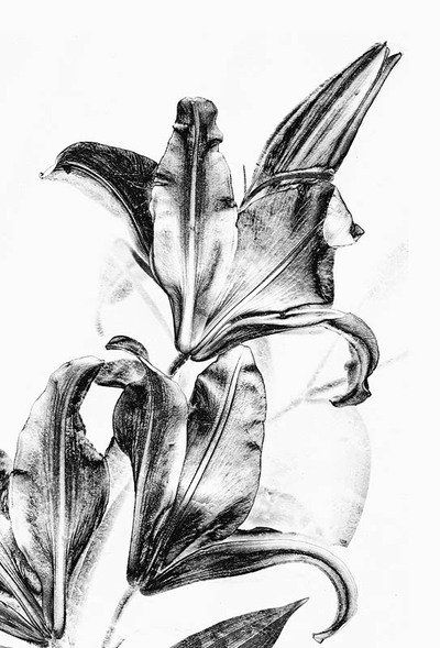 20050729_hercules_mg_4402cbw