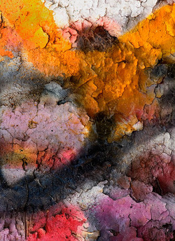 20050729_hercules_mg_4440