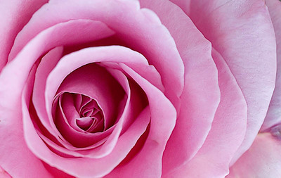 20050803_home_mg_4635