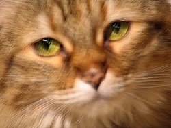 20050816_celiaimg_0501_1