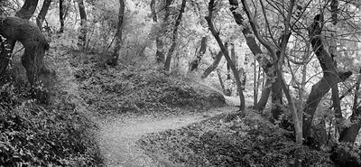 20050821_hakonecrw_4056p