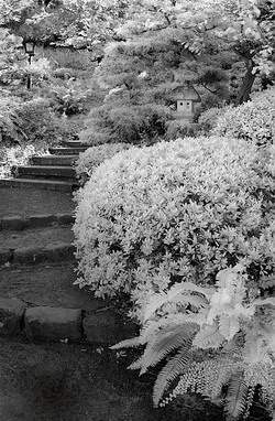 20050827_hakonecrw_4098